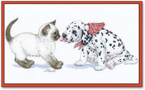 calico-and-dalmatian