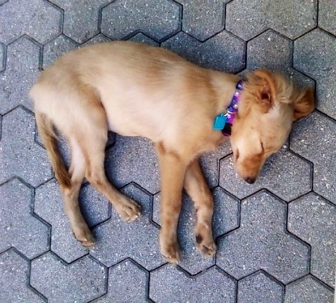 our youngest bundle of joy